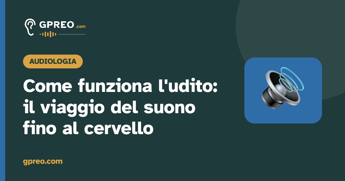 Come funziona l’udito: il viaggio del suono fino al cervello