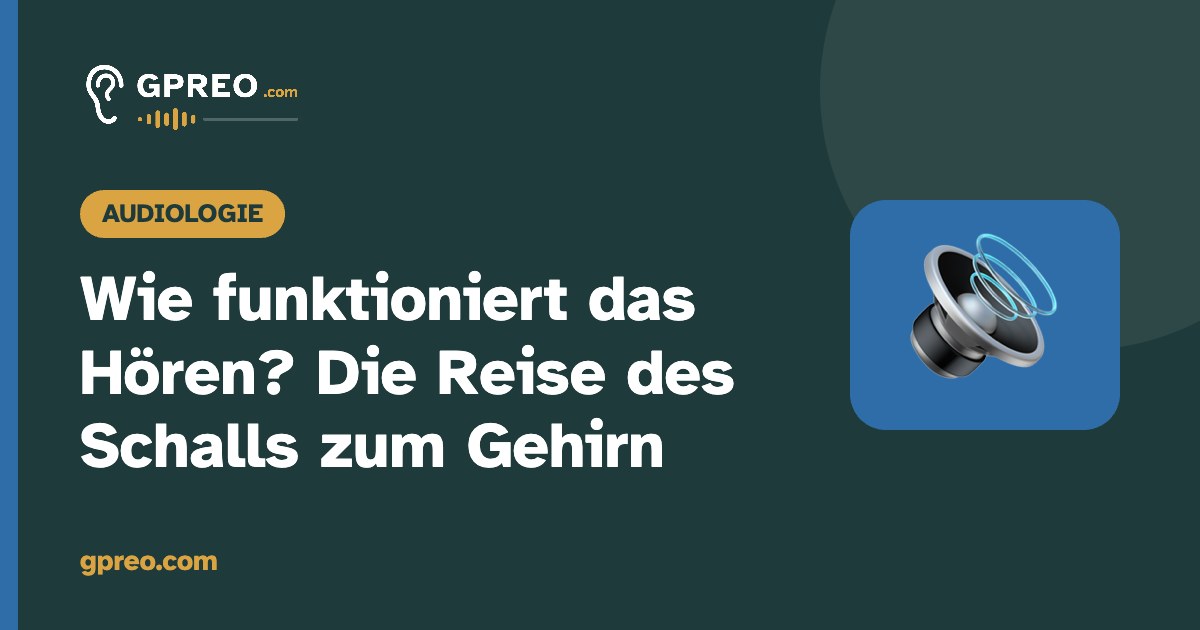 Wie funktioniert das Hören? Die Reise des Schalls zum Gehirn